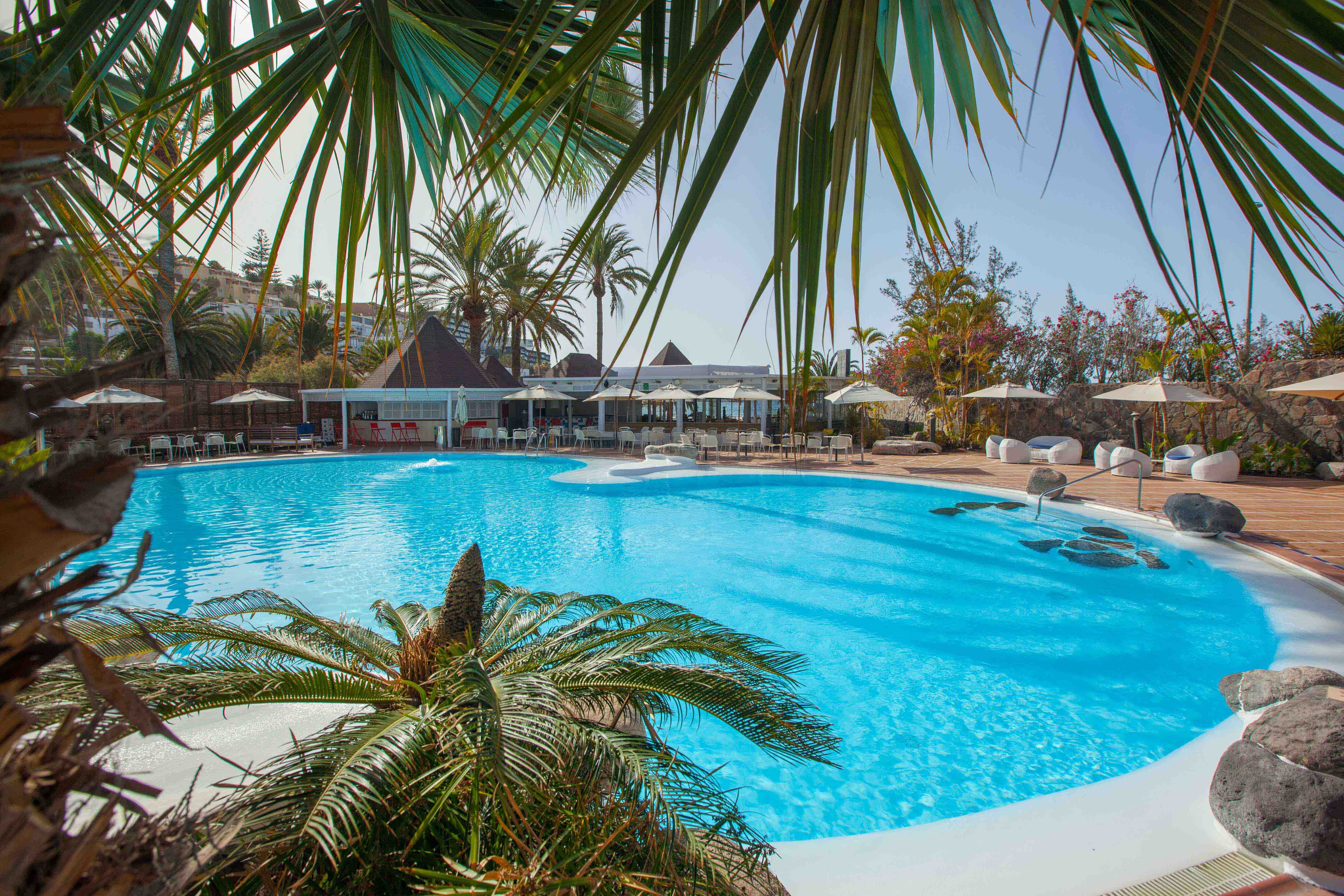brisa piscina corallium beach by lopesan hotels