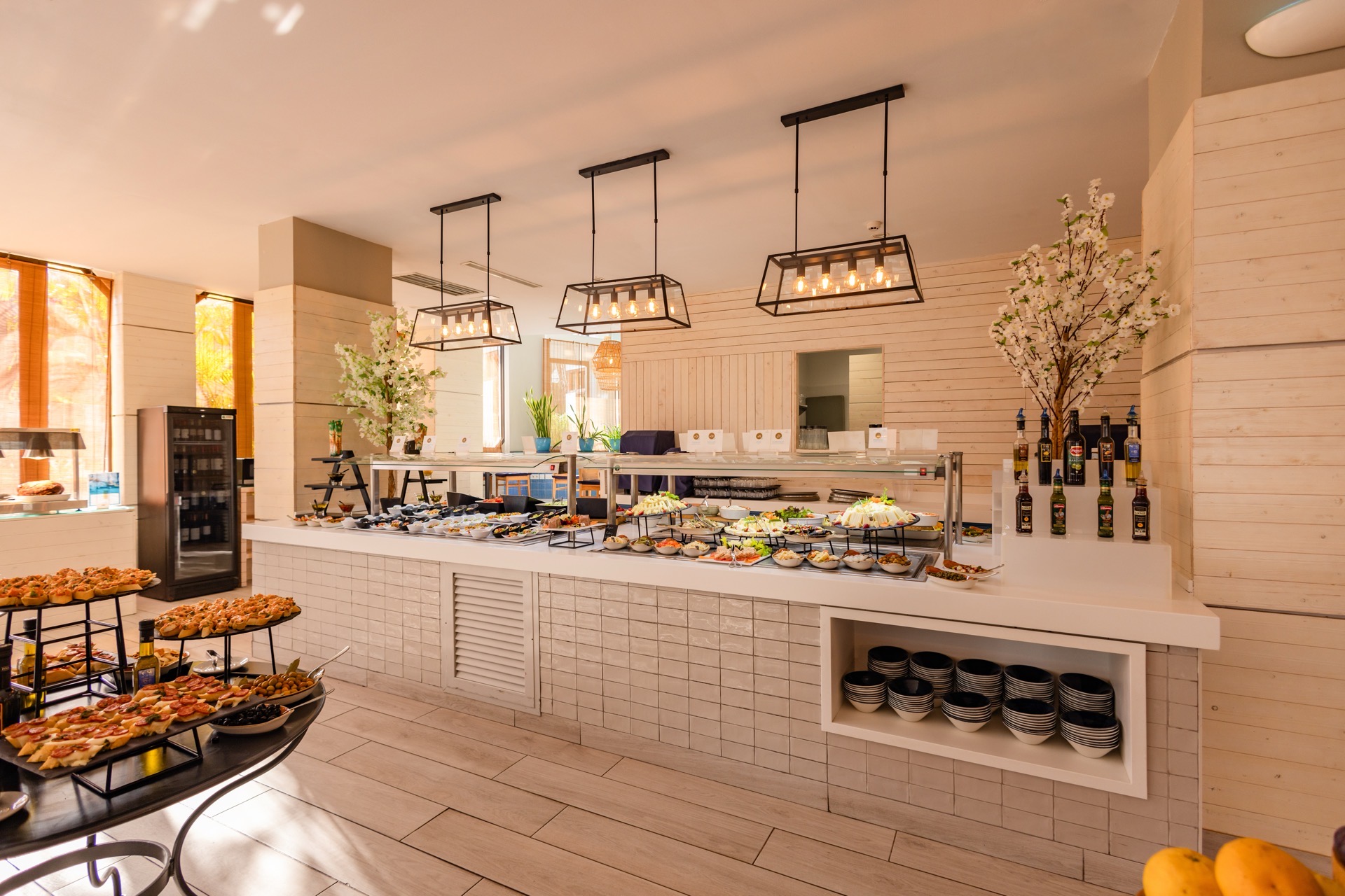 todo incluido premium hotel corallium beach