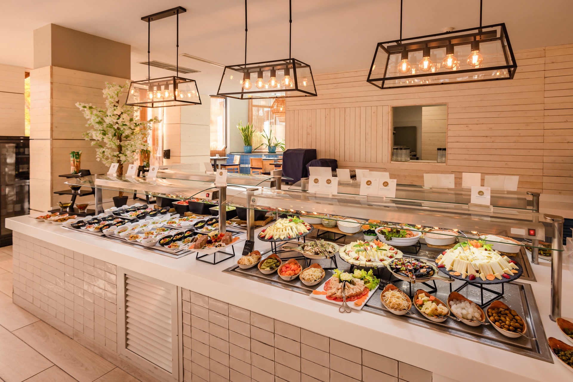 media pension hotel corallium beach