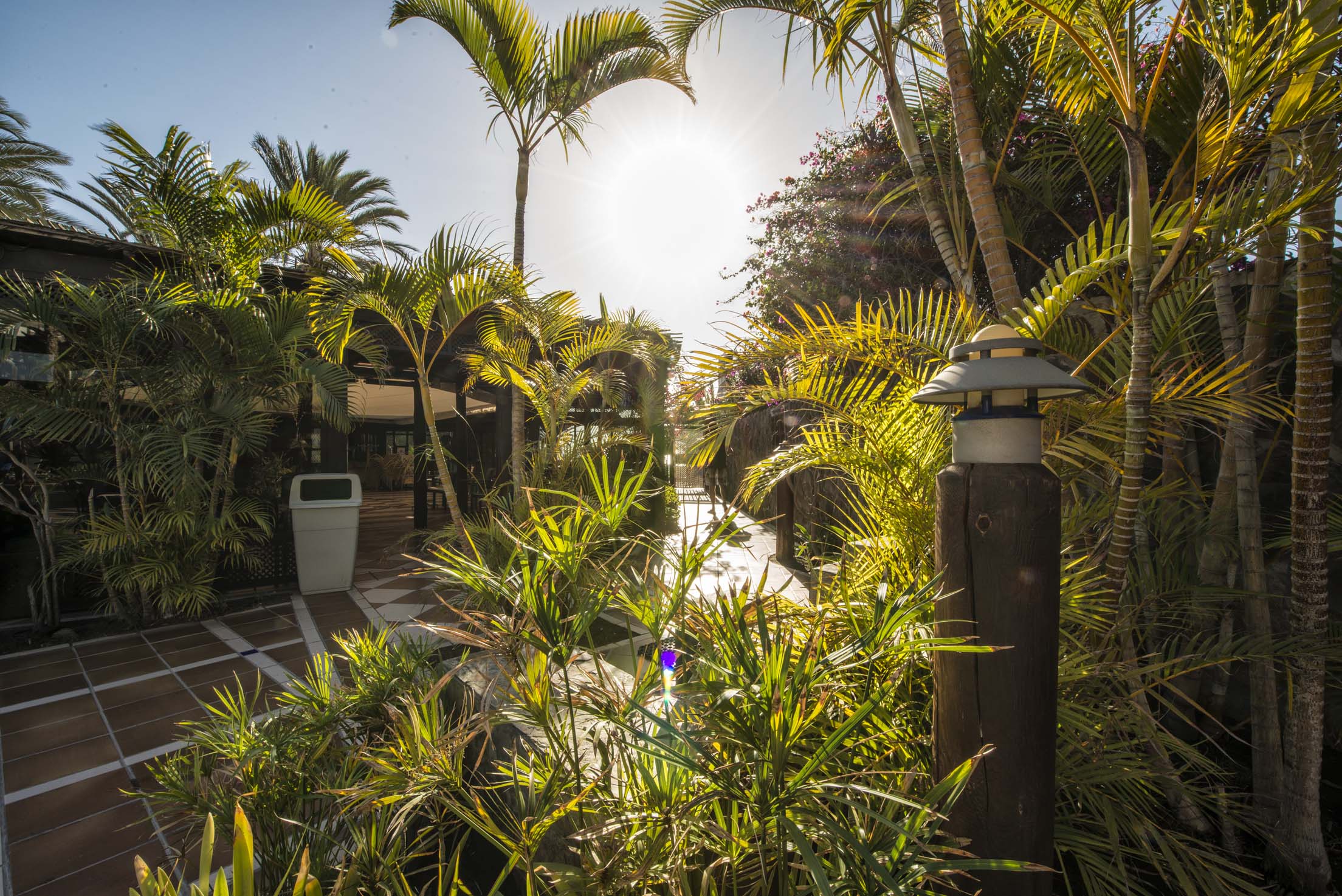 garden images corallium beach by lopesan hotels