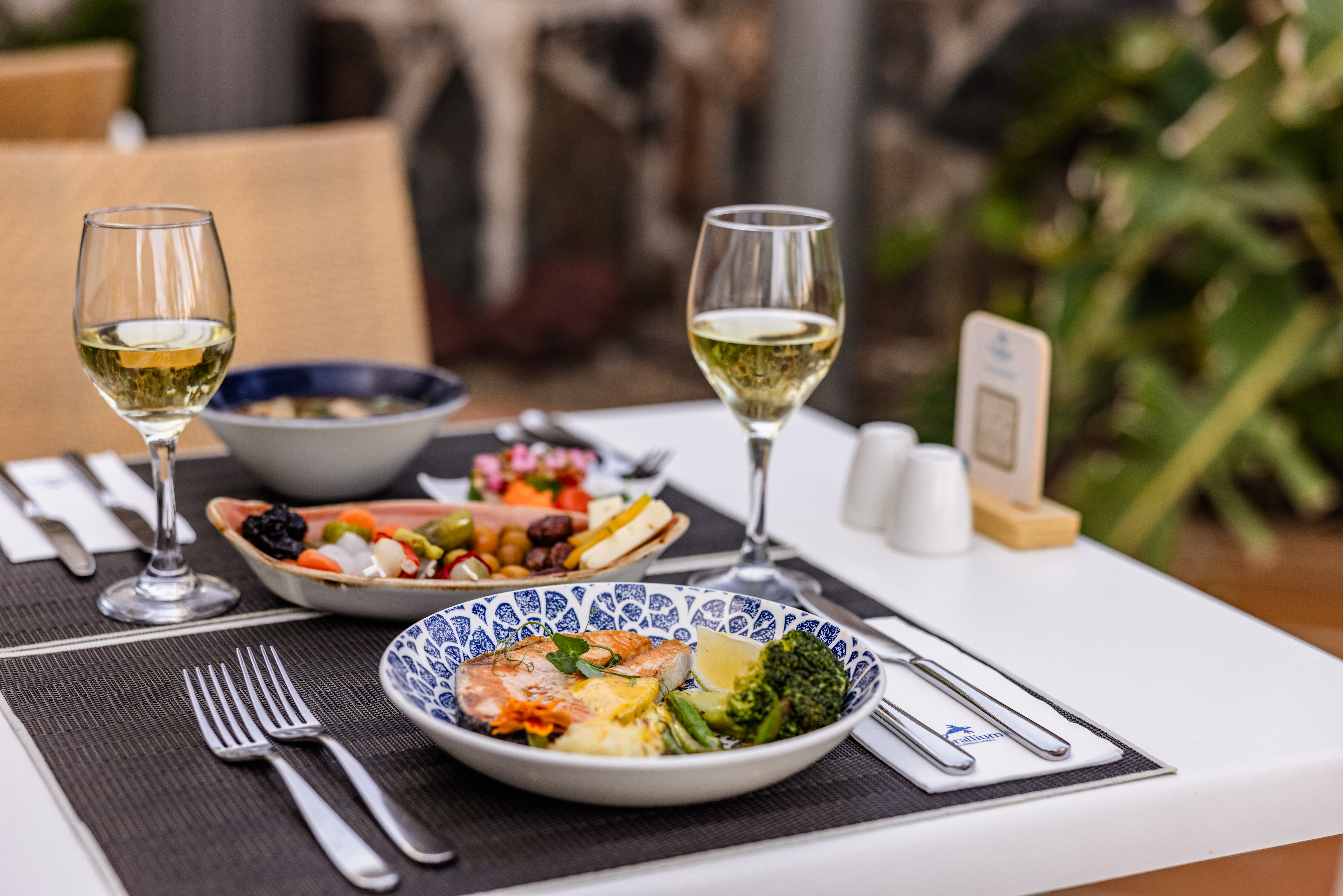 image gallery gastronomy hotel corallium beach