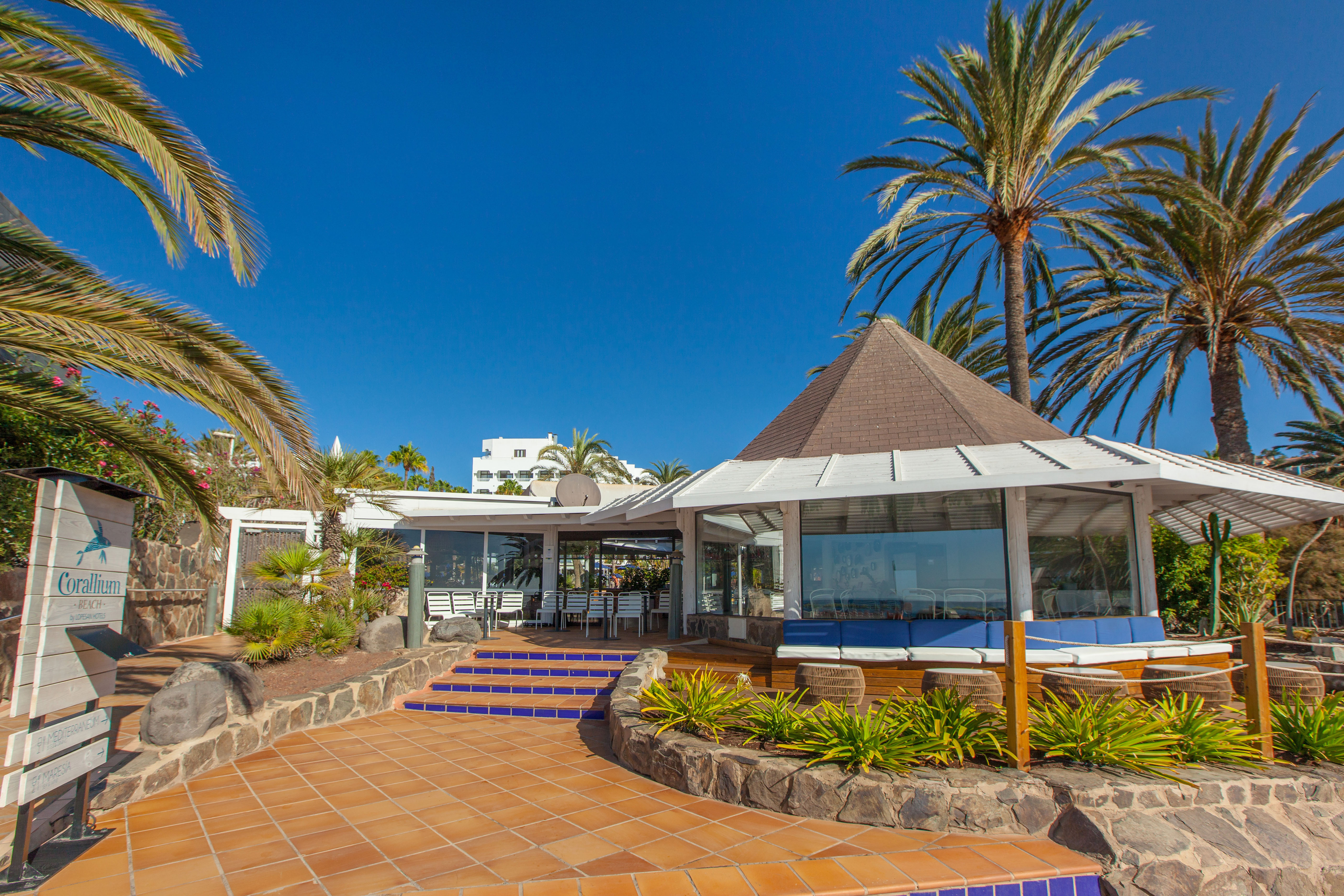 bildergalerie hotel corallium beach terrasse