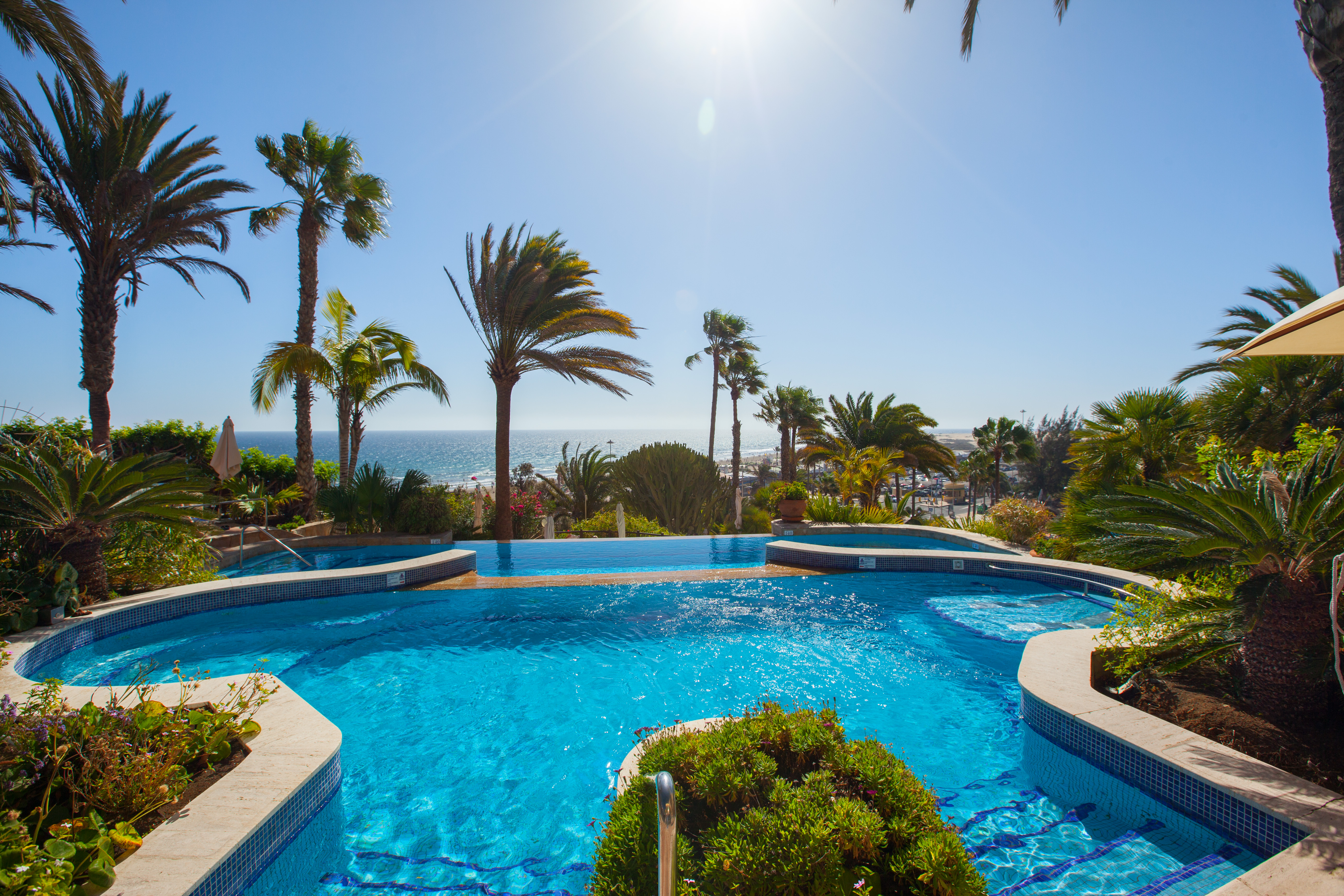imágenes y fotos corallium dunamar by lopesan hotels piscina marina