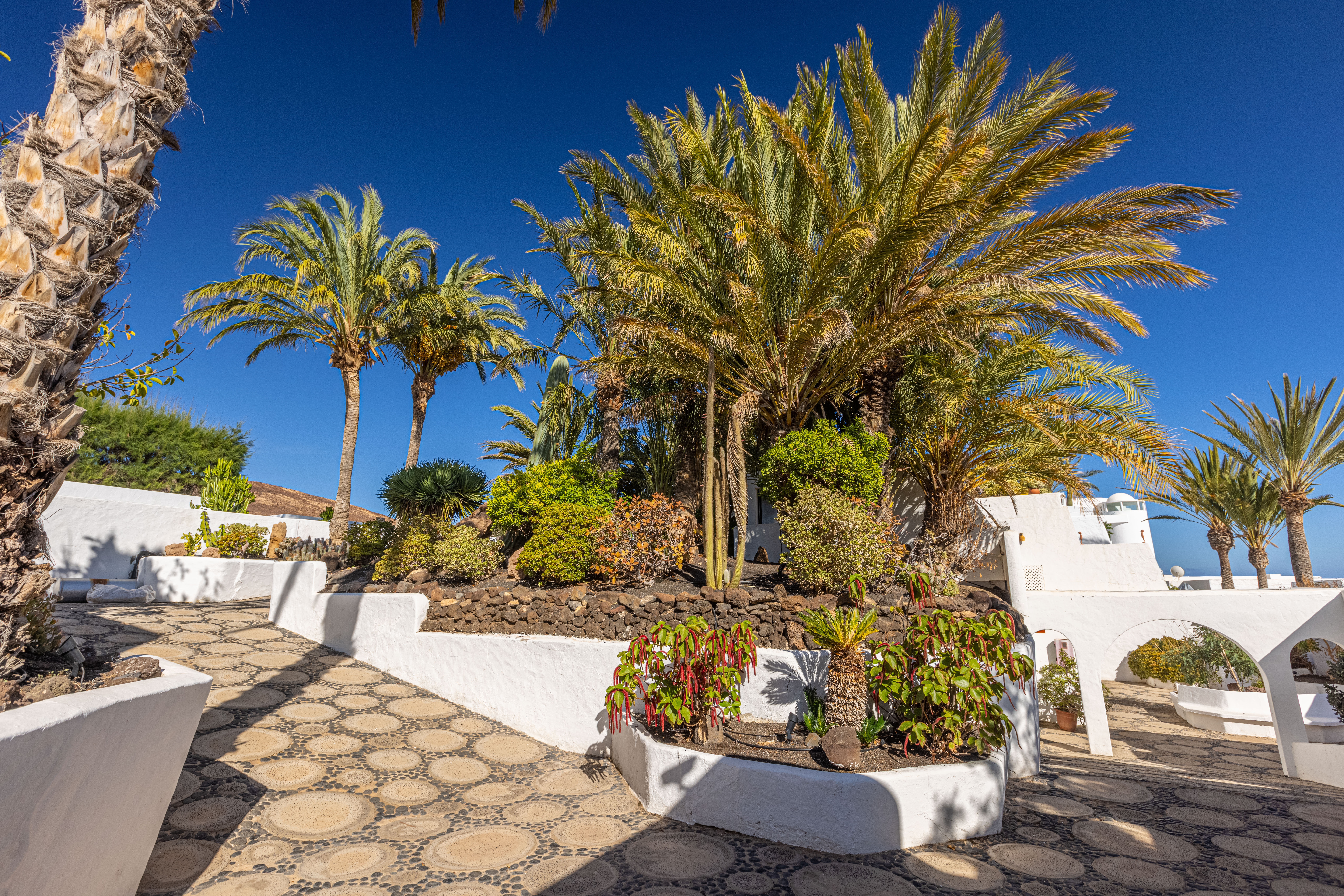 imágenes y fotos ifa villas altamarena jardines