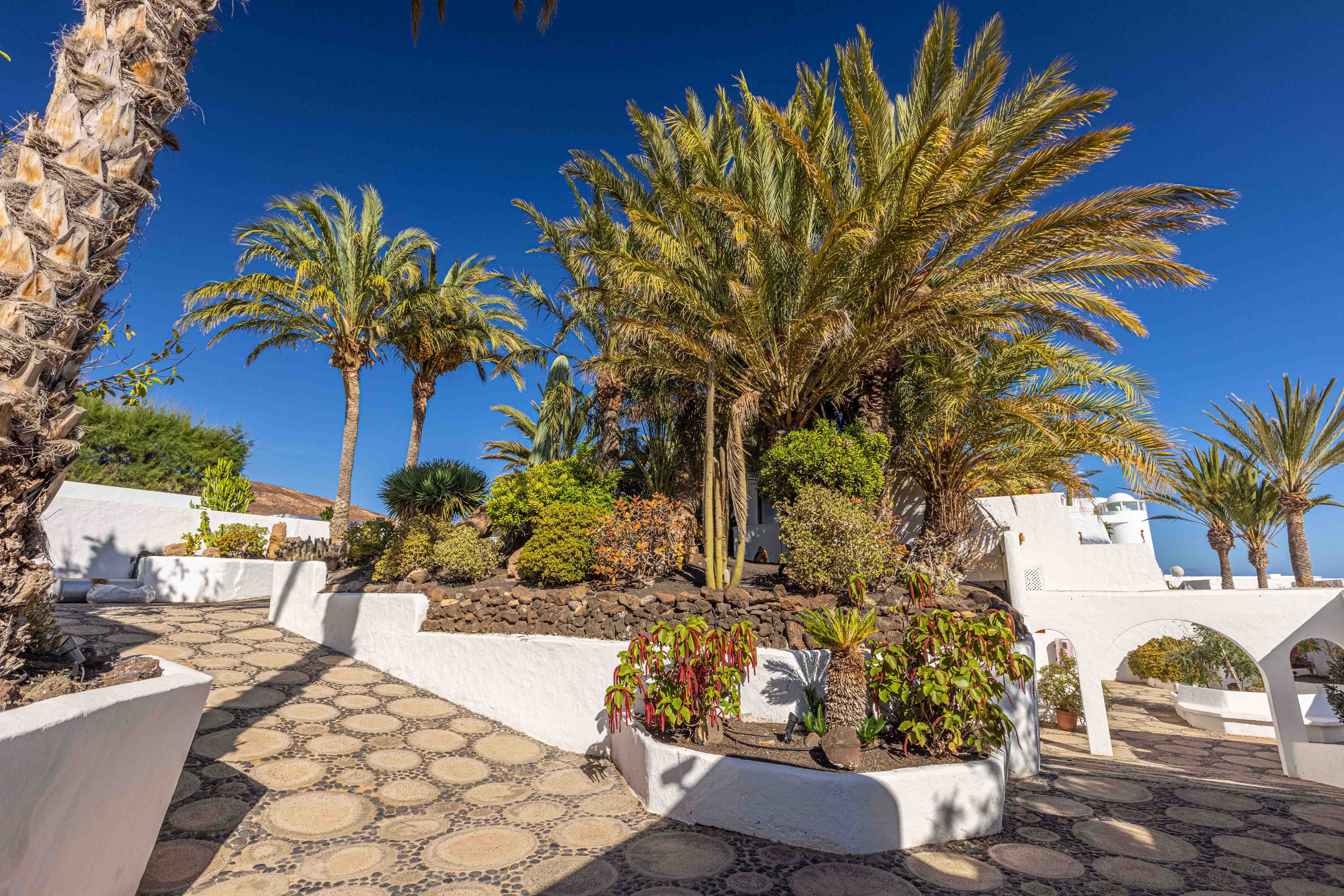 servicio hotel villas fuerteventura
