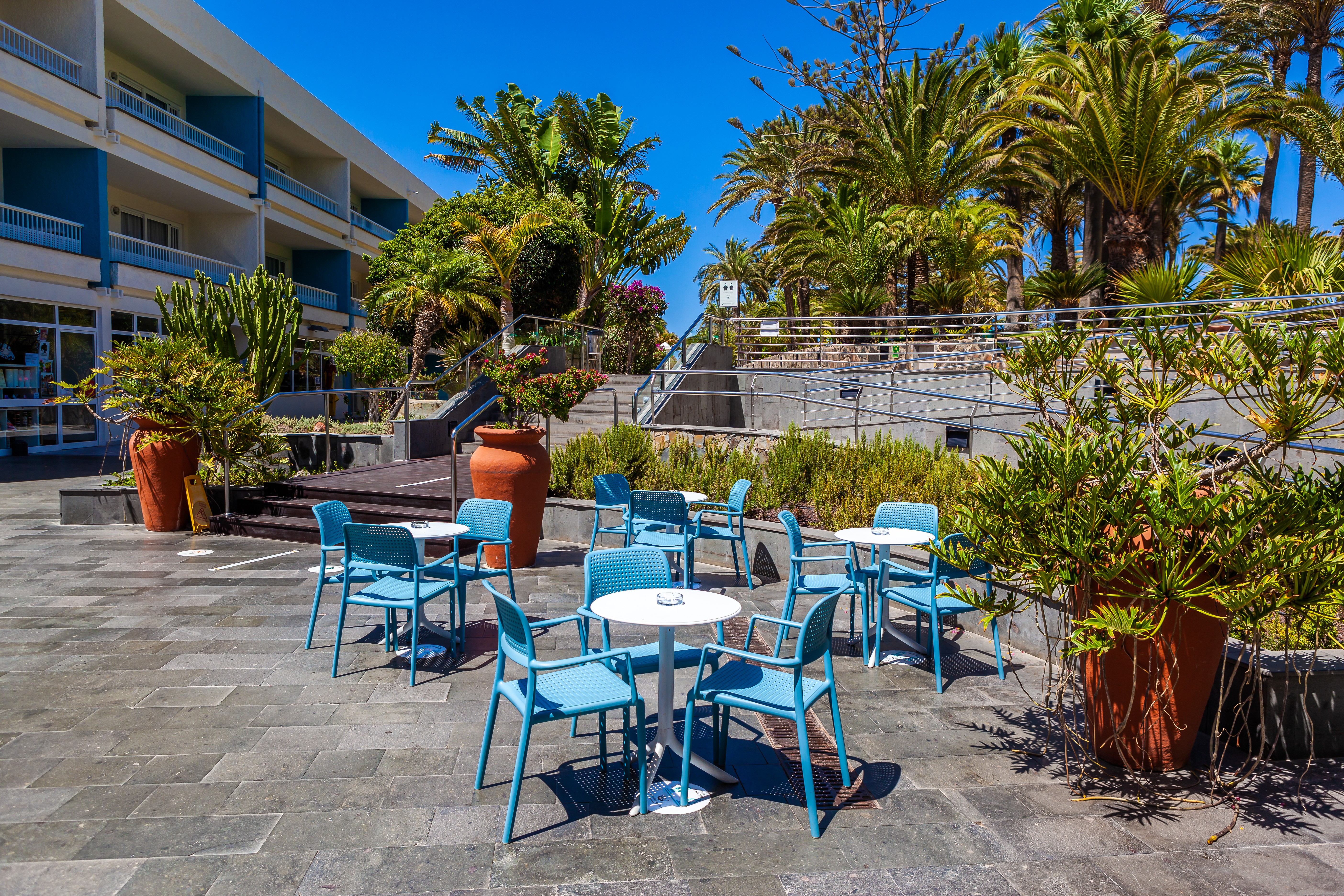 terraza bar abora interclub atlantic by lopesan hotels