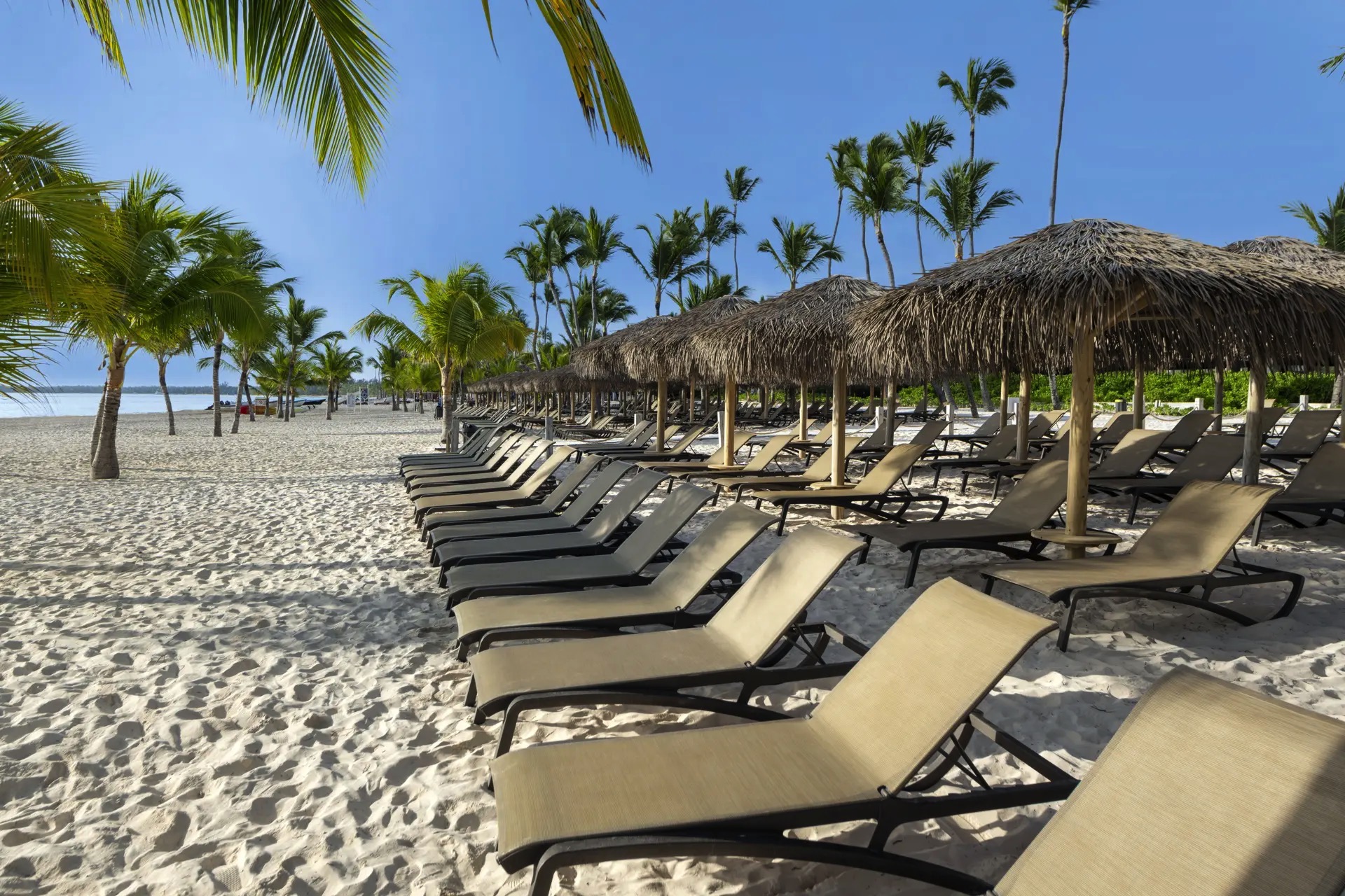 zona playa lopesan costa bávaro fotos
