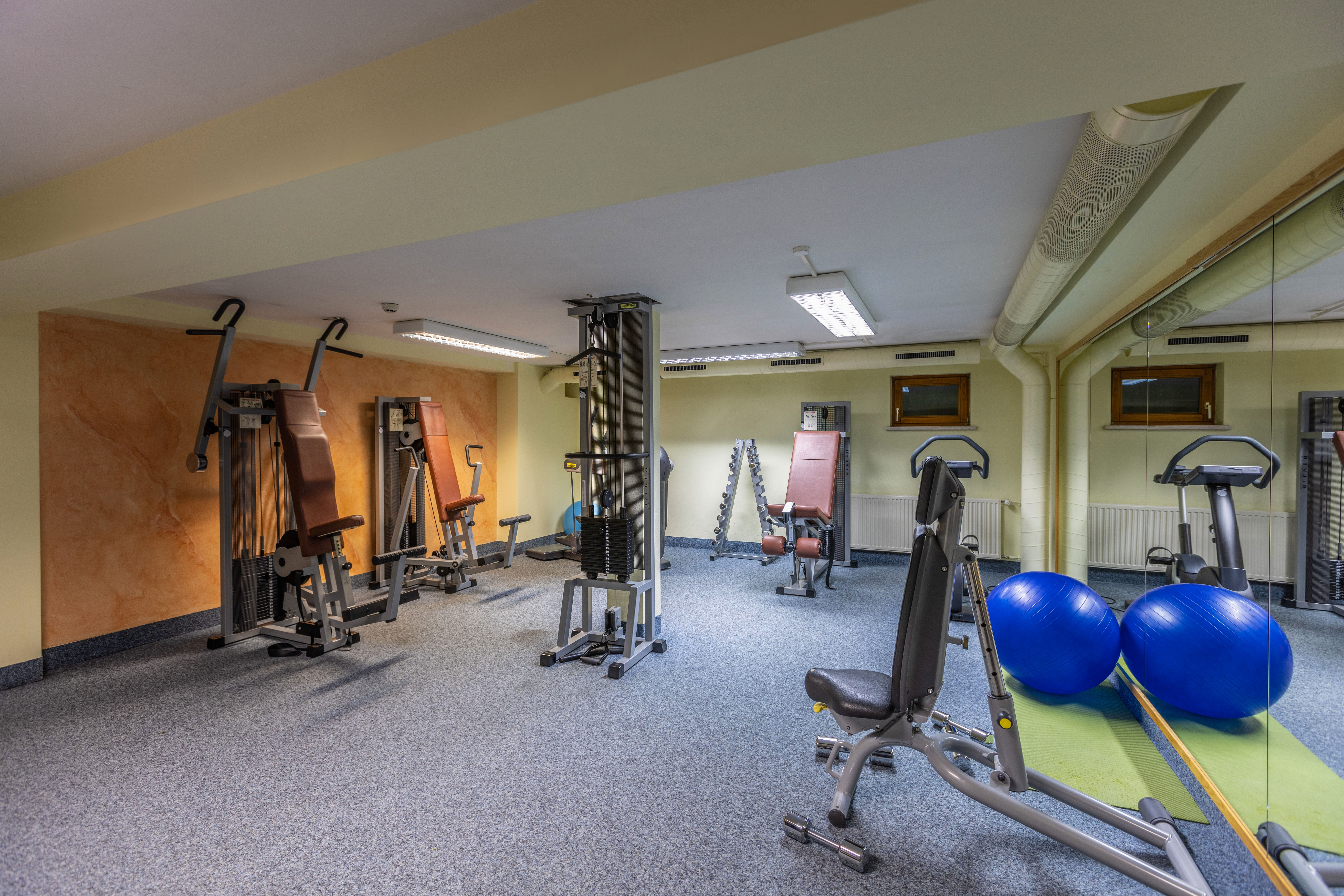Gym photos IFA Alpenrose Hotel