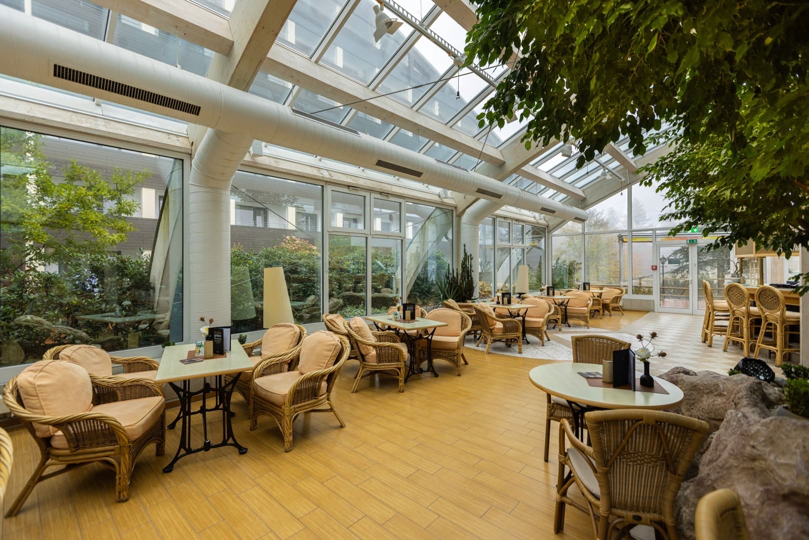 bares hotel ifa schoneck