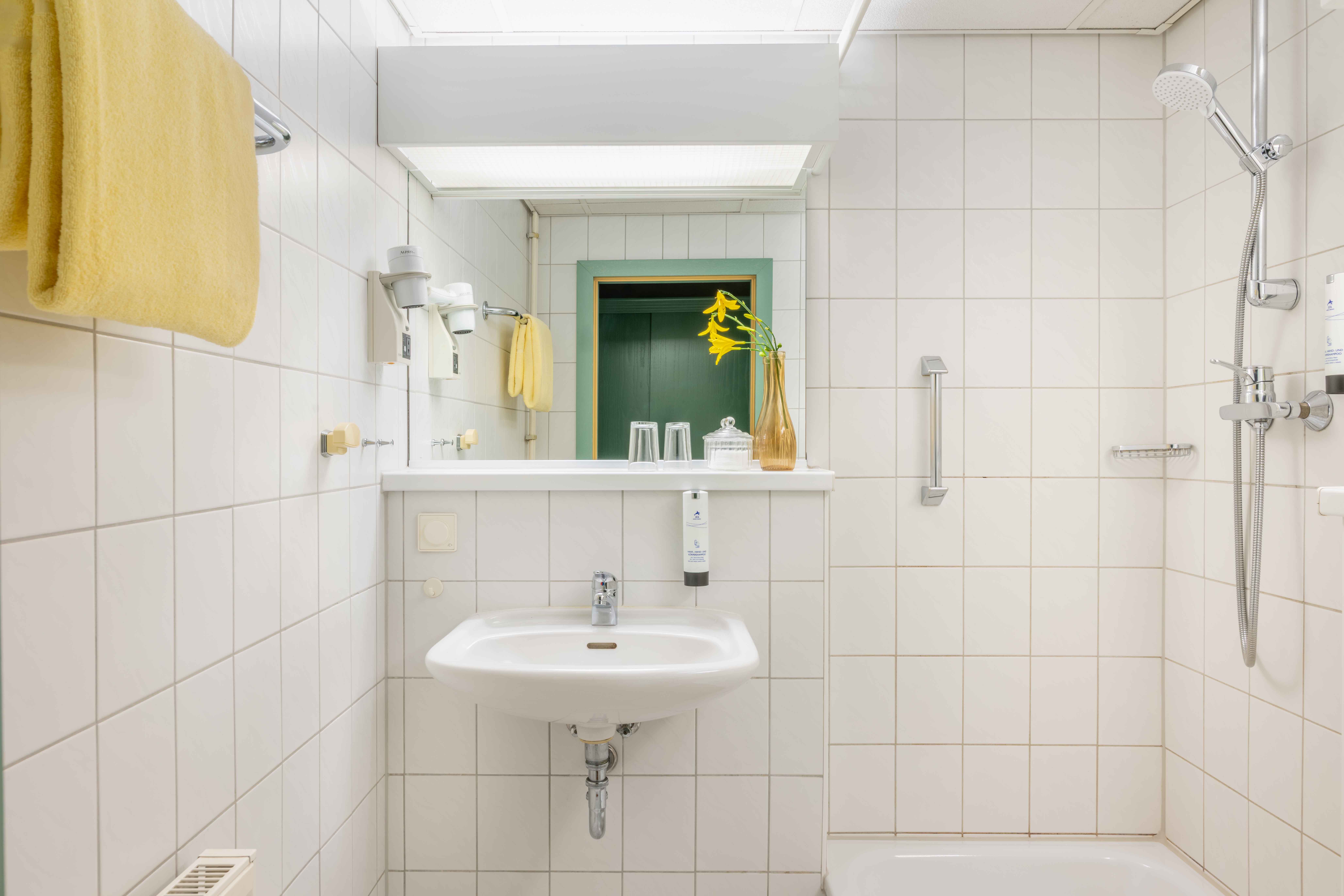 badezimmer 1 raum appartement ifa schoneck hotel