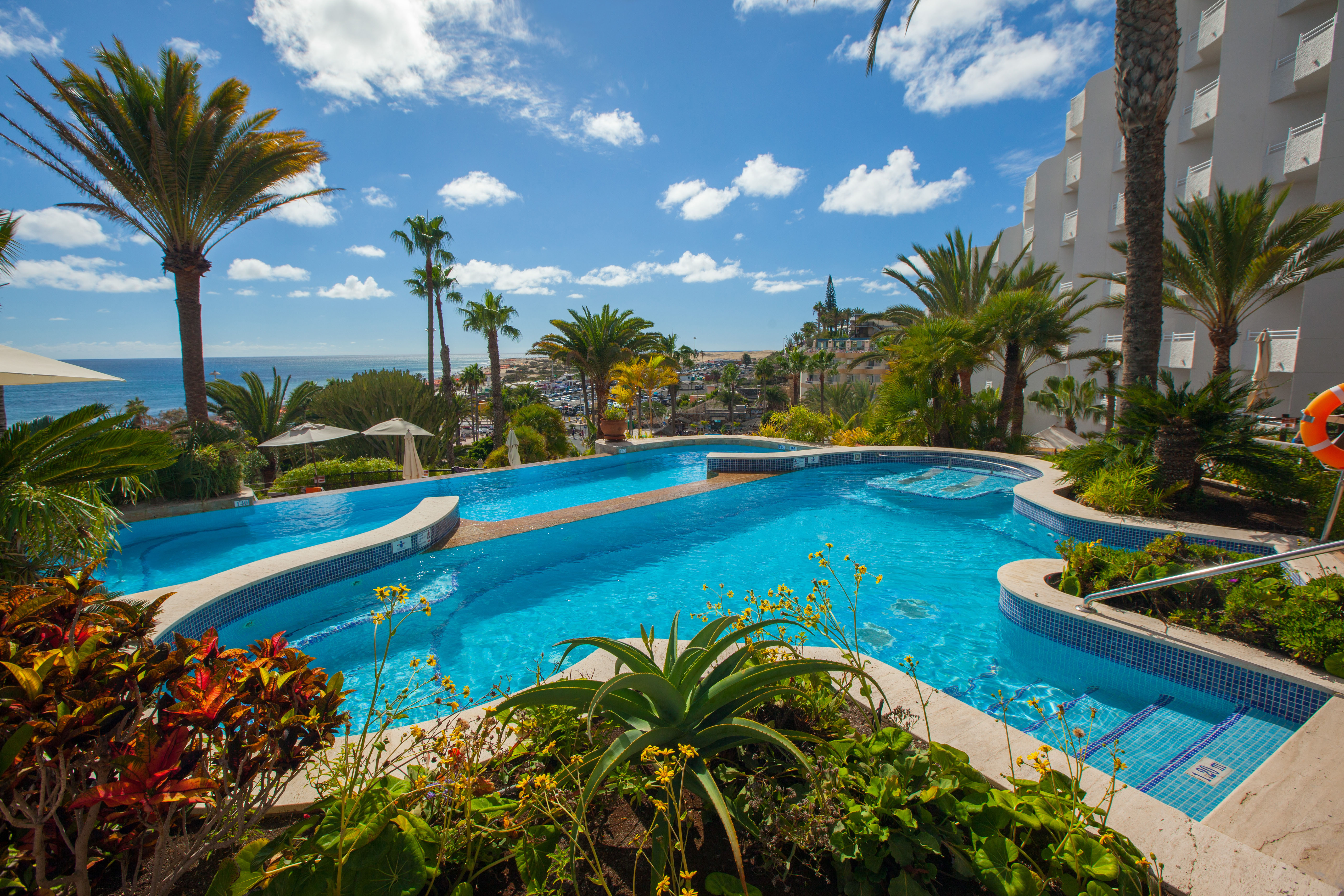 piscina marina corallium dunamar by lopesan hotels