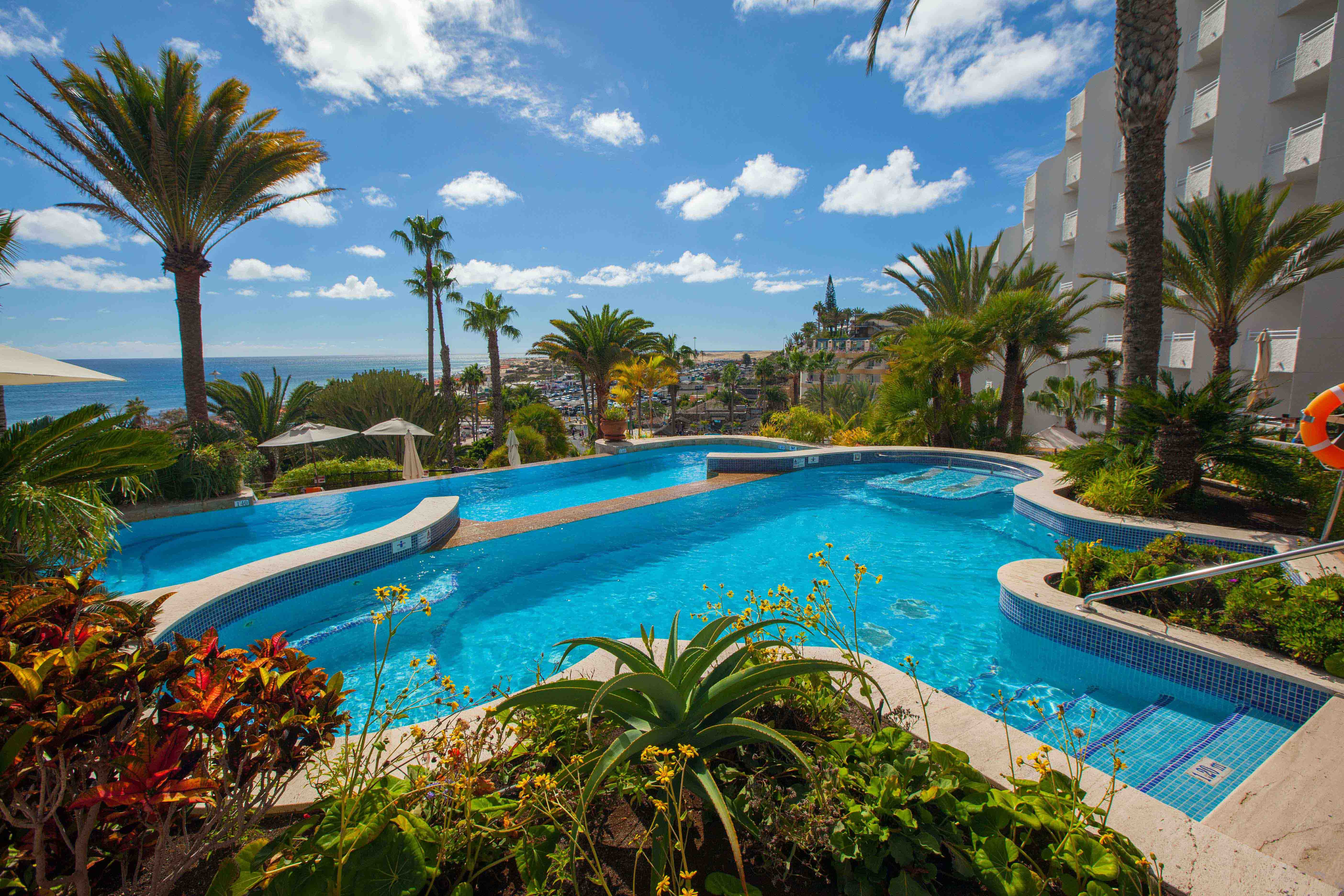 piscina marina corallium dunamar by lopesan hotels