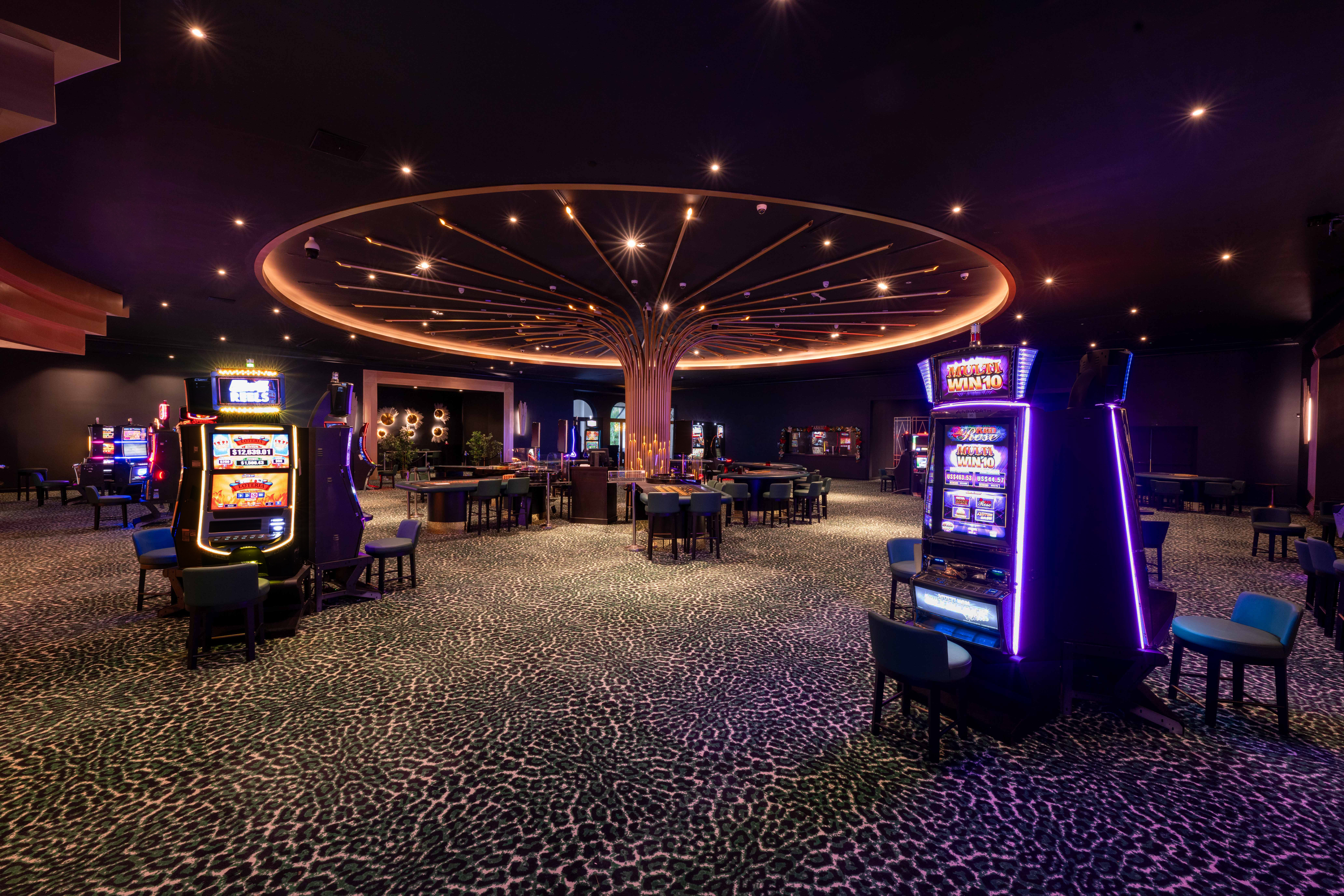 casino zona de ocio punta cana