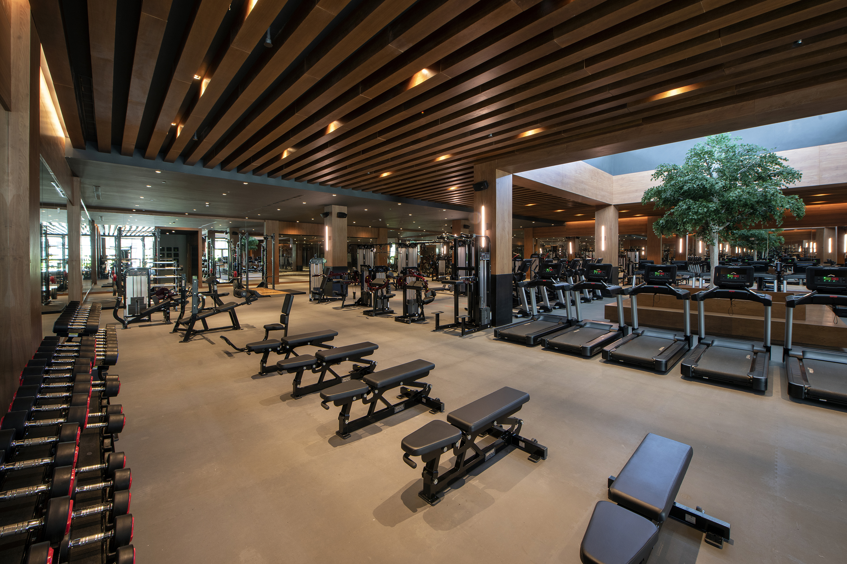 gimnasio punta cana