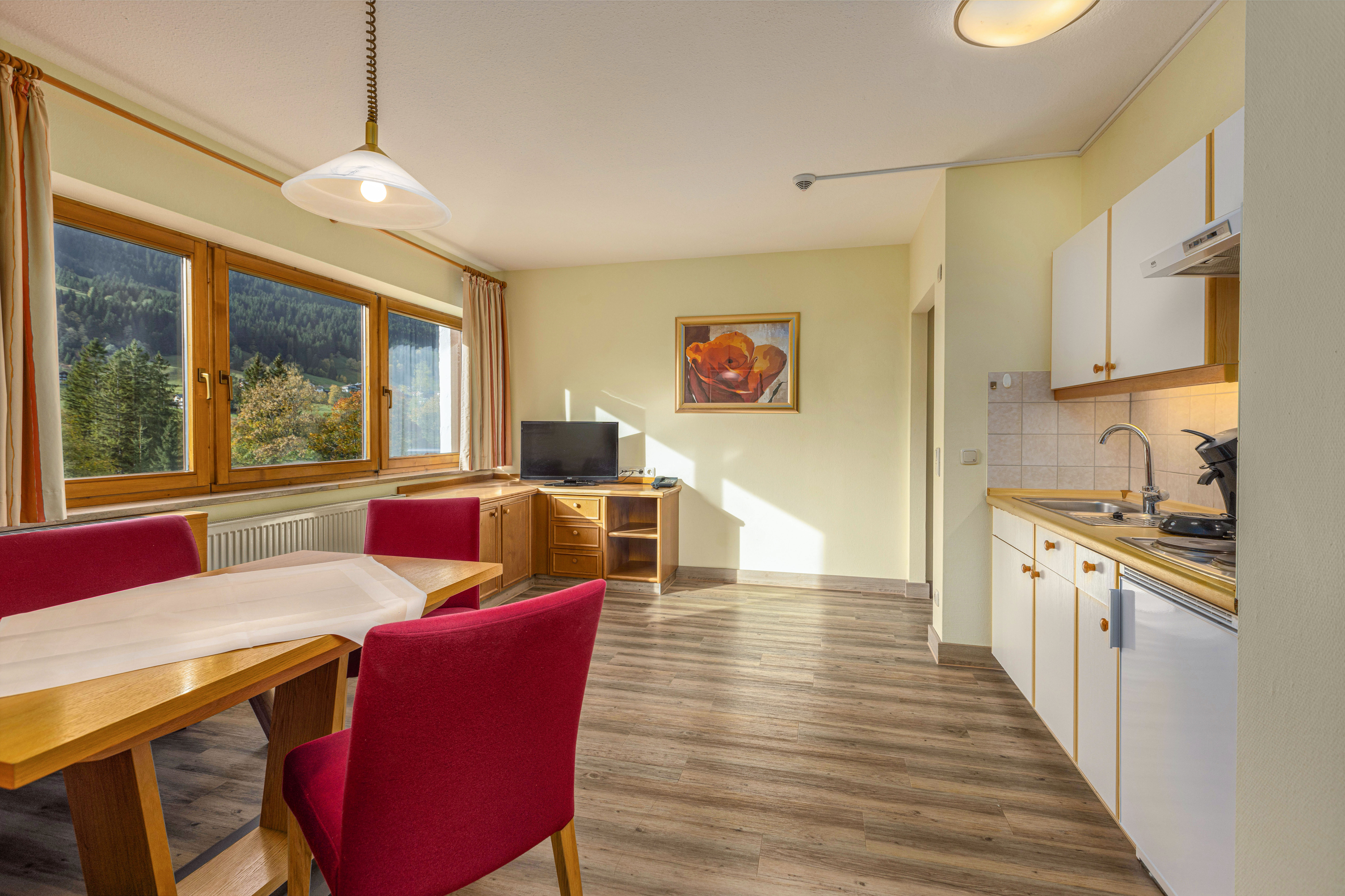 lounge kitchen ifa breitach 3 bedrooms apartment