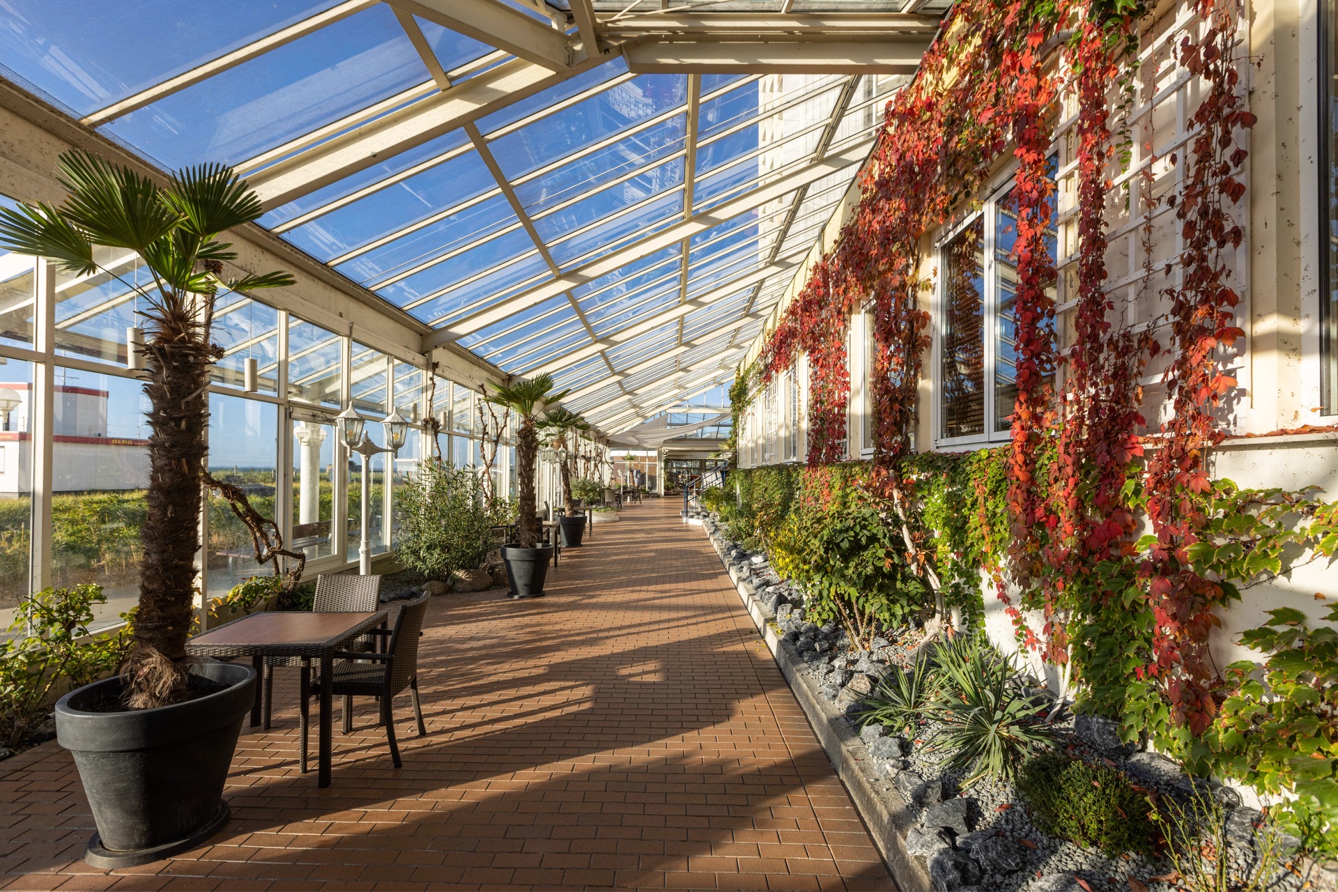 Gastronomía Hotel en Fehmarn
