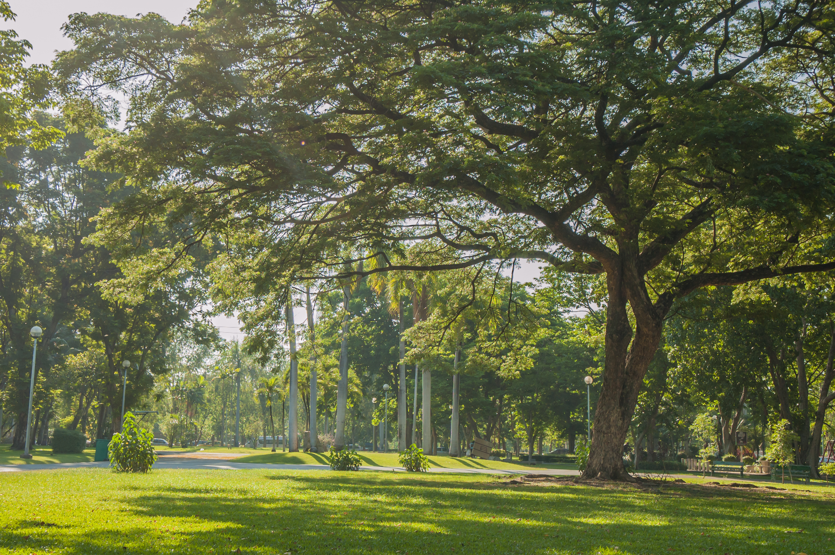 8 iStock-472674158.jpg