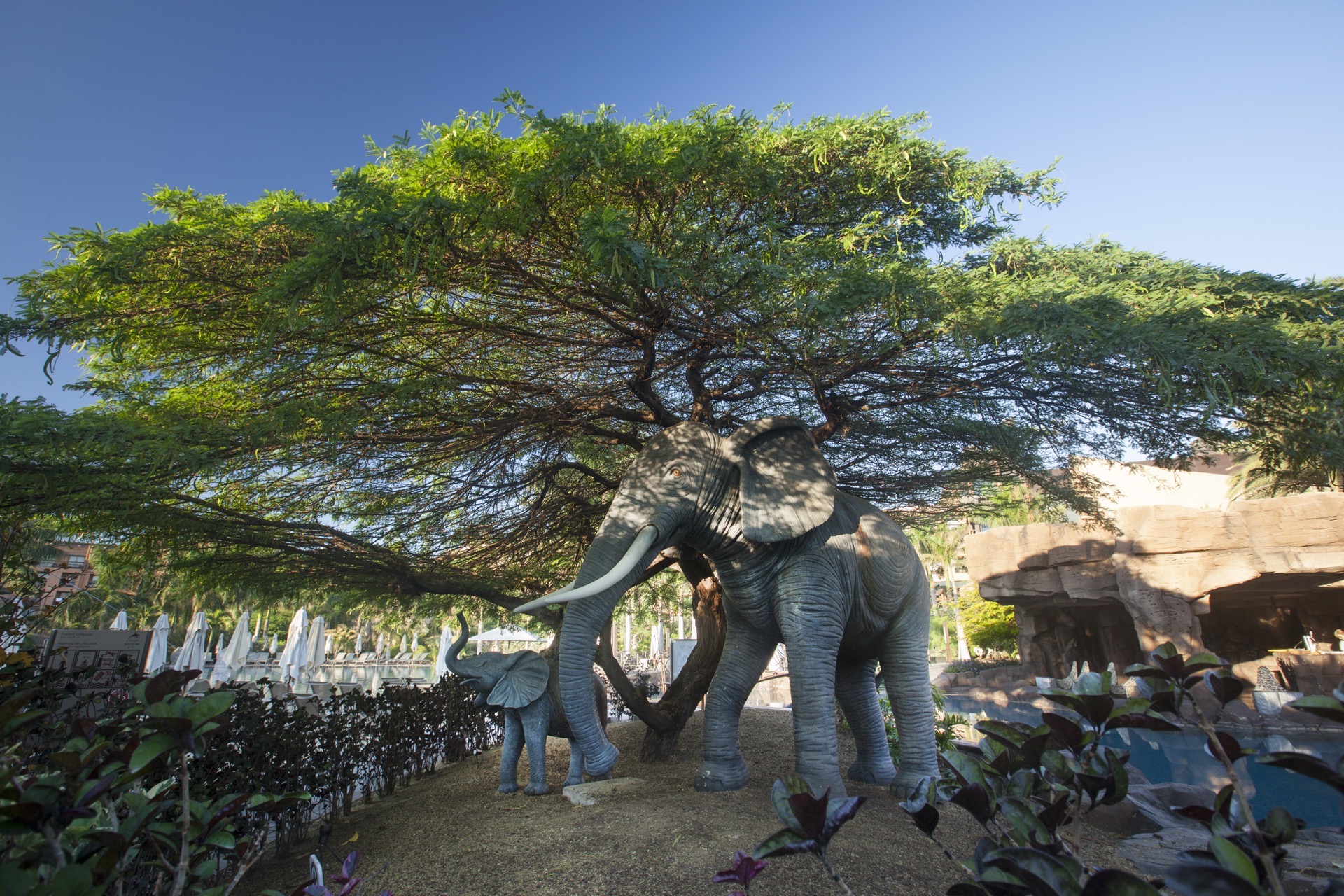 exterior hotel baobab resort
