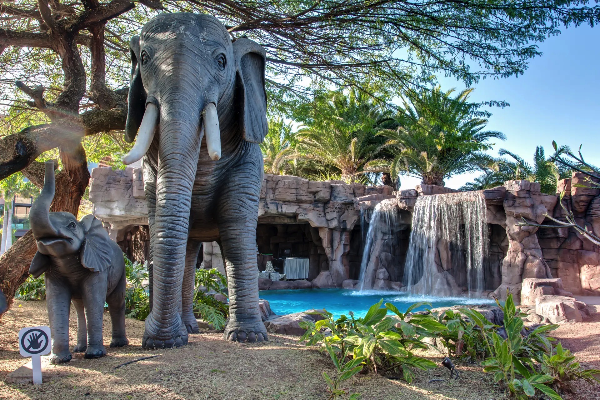 hotel baobab fotos animales
