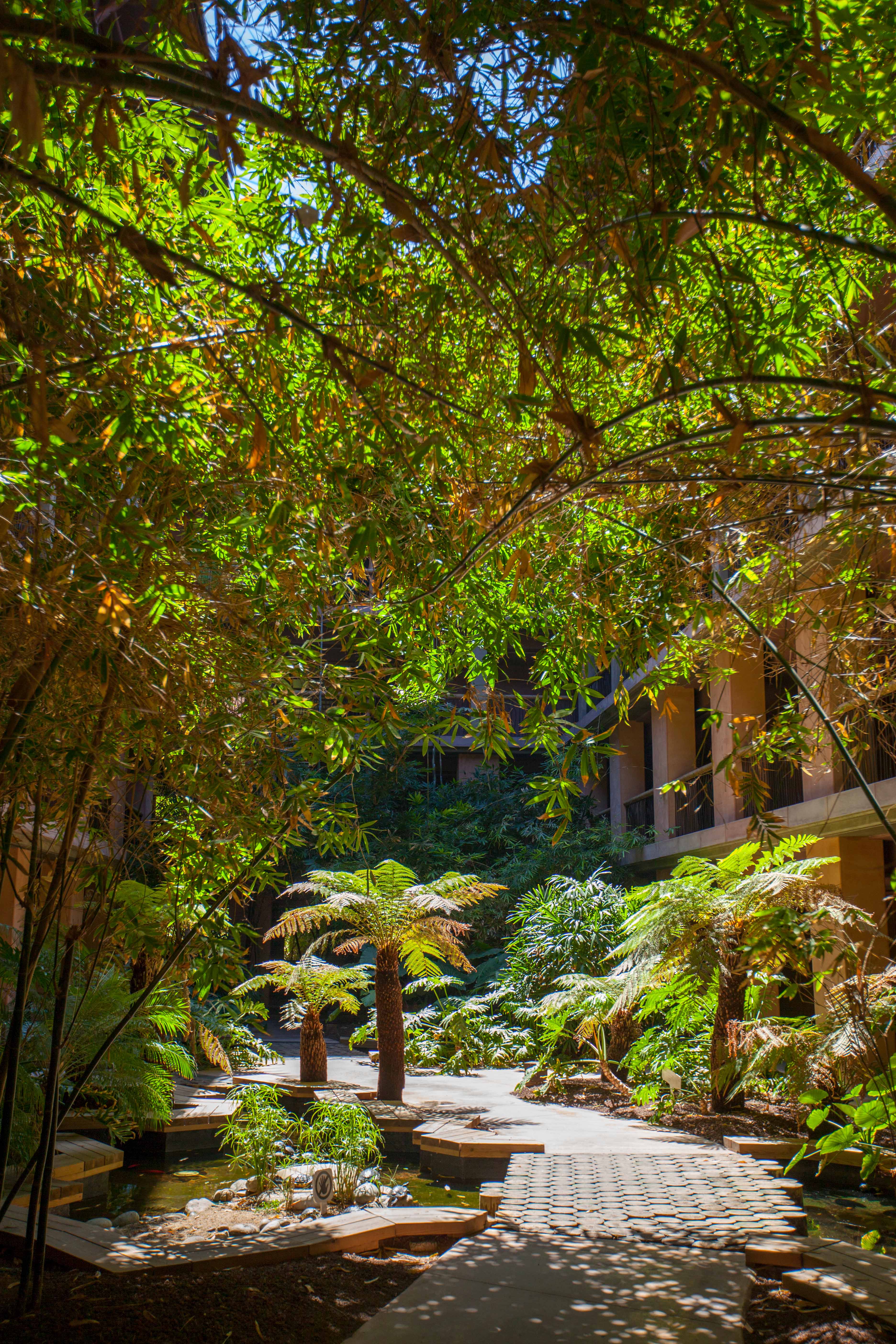 detalles exterior hotel baobab resort gran canaria