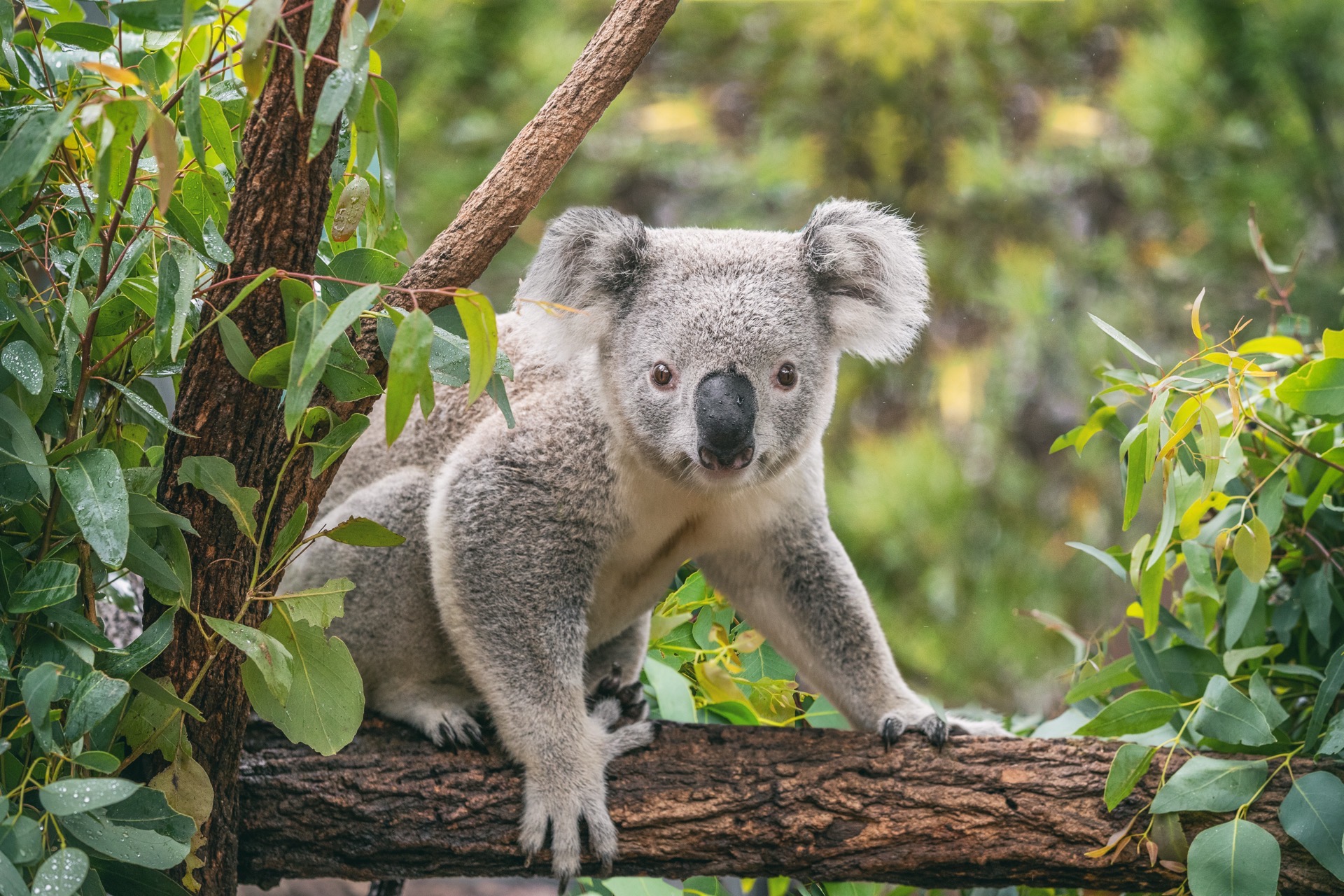 iStock-1326007751.jpg