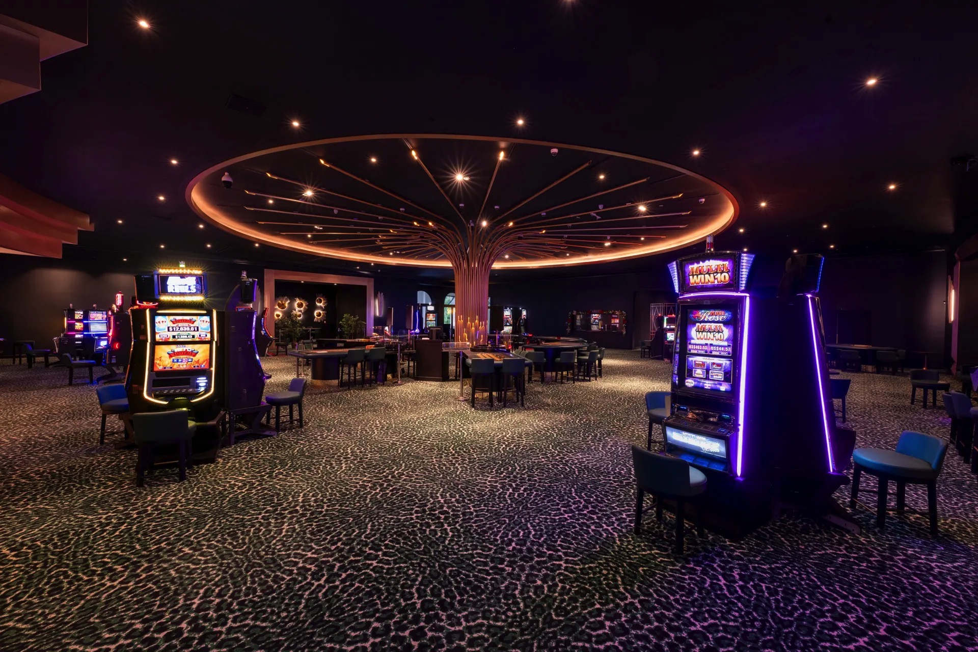 casino zona de ocio punta cana