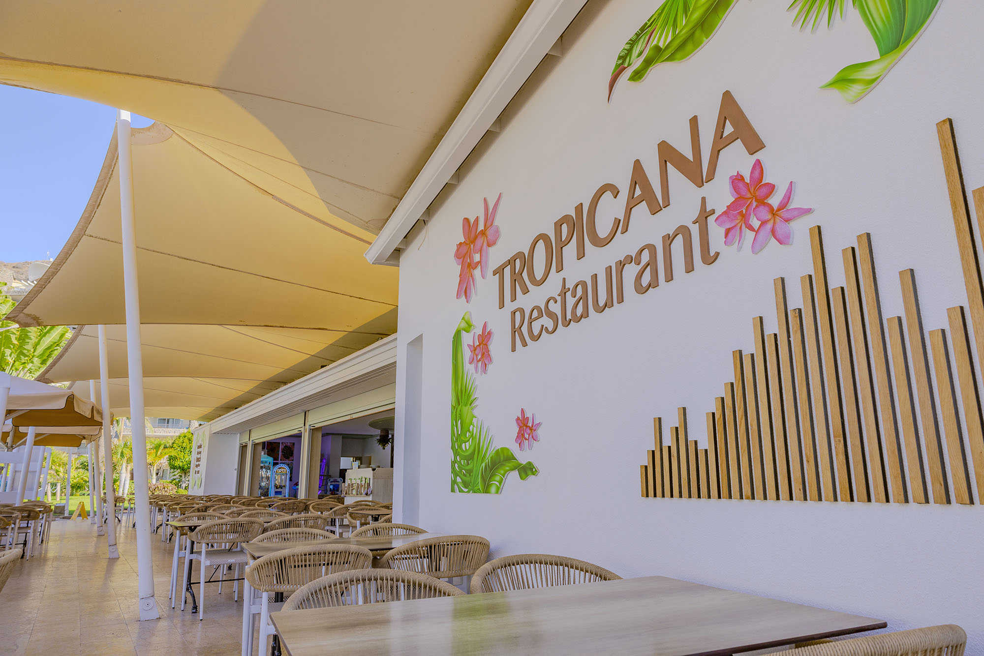 20231028 TROPICANA 0394