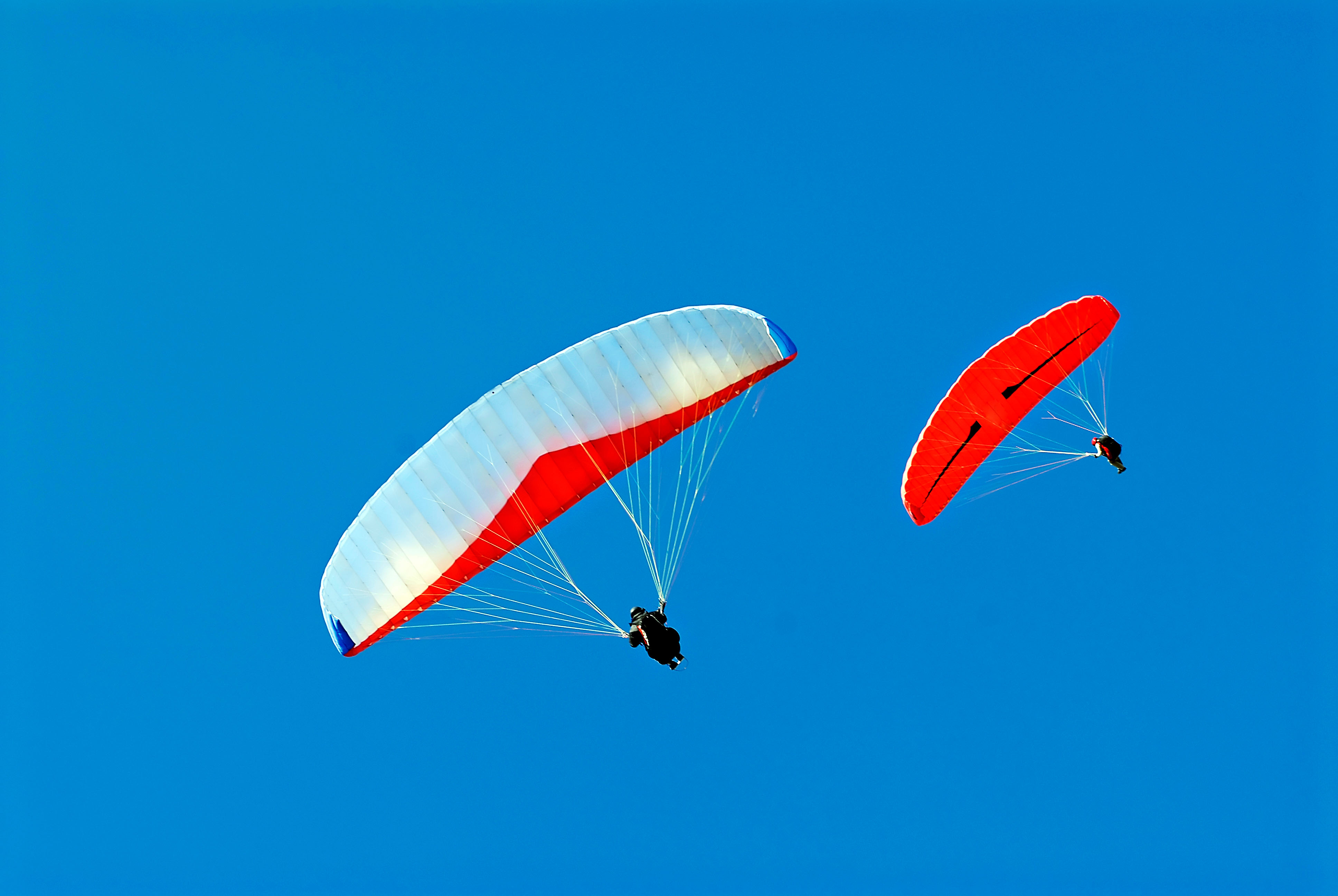 iStock-179123314.jpg