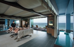 Wellness